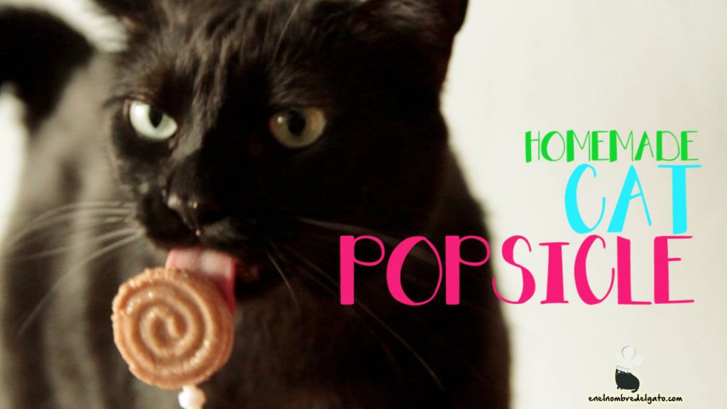 cat ice cream recipe ready in 3 minutes