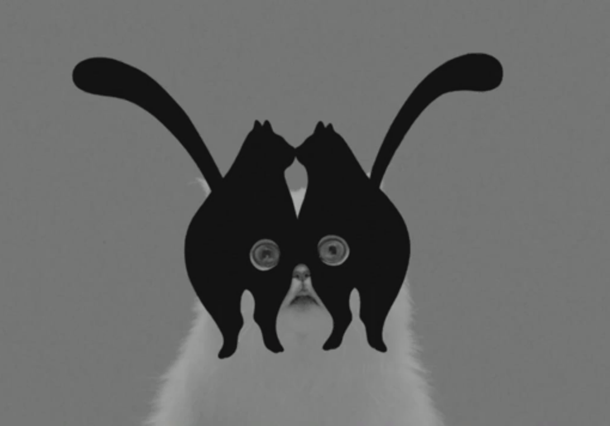Imagen del vídeo de la banda australiana Midnight Juggernauts, Systematic, expuesto en 'Cómo los gatos dominaron Internet', en el MoMi. 